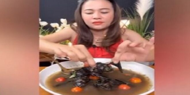 Blogger Wanita Asal Thailand Makan Sup Kelelawar Utuh