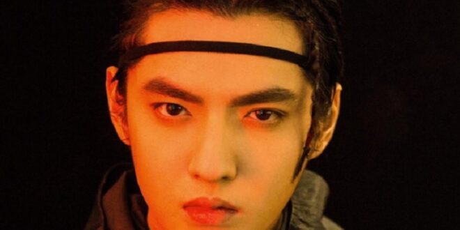 Kris Wu Mantan EXO Kena 2 Kasus Denda 600 Juta Yuan Dan Divonis 13 Tahun Penjara